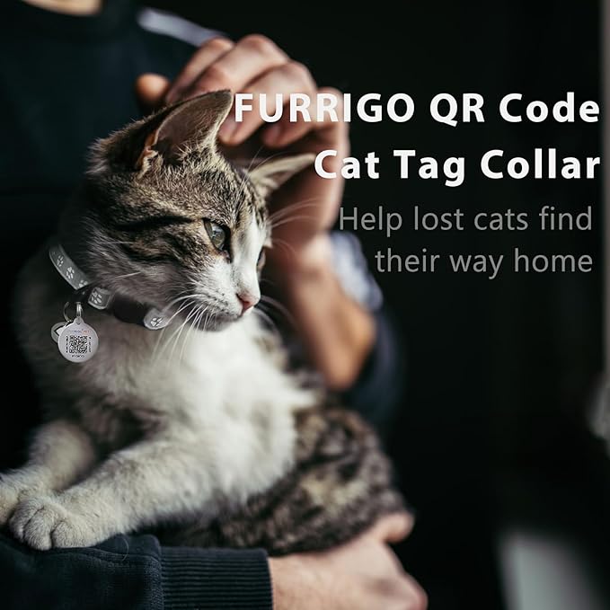 Cat Collar Breakaway with QR Code Name Tag, Reflective Kitten Collars with Bell, Cat ID Tag Personalized, Ultra-Durable, Adjustable, Quick Release, Fits Most Girl Boy Small Large Cats (Grey,8-13.3'')
