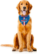 Littlearth NFL Denver Broncos Pet Bandana