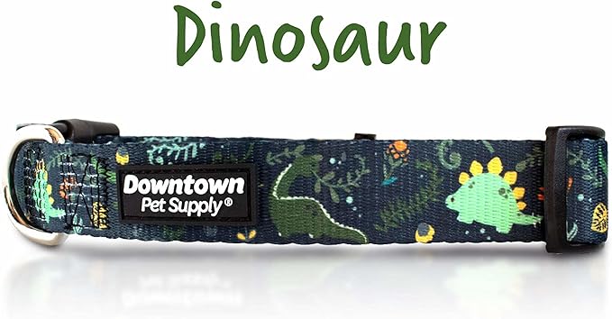 Downtown Pet Supply - Best & Fancy Adjustable Dog Collar with Quick Buckle & D-Ring - Hand Wash Safe - Dino - M - Medium