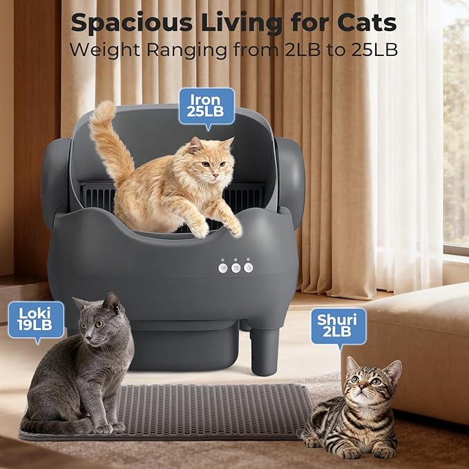 Automatic Cat Litter Box: Self Cleaning Litter Box for Multiple Cats, 10L Waste Drawer with Ultra Quiet Operation, Open Top Design for Multi-Cat Households, Grey