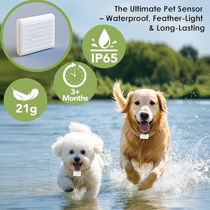 Automatic Pet Door Collar, Included 2 Sensor Collar, Large Size