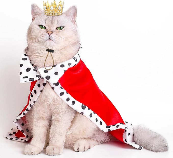 Abbylike Pet Rhinestone King Crown Small Size, Queen Crown for Halloween Costume for Small Dog Cat Cosplay Party Accessories Adoption Celebration Wedding Birthday Photos Prop Costume