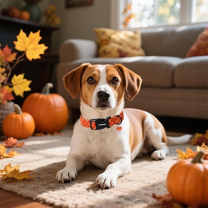 DOGWONG Fall Plaid Dog Collar, Cherkered Autumn Dog Collars, Adjustable Cute Halloween Pet Collars Design Dog Collar for Small Medium Large Dogs