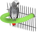 Rypet U Shape Parrot Perch Stand Toy for Paw Grinding Clean Stick Exercise, Rough-Surfaced Quartz Bird Perch Standing Cage Accessories for for Small Parakeets Cockatiels Conures Macaws Finches(Green)