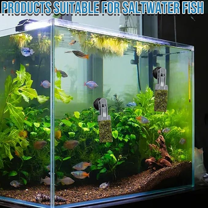 2Pcs Goldfish Feeder, Saltwater Aquarium Accessories Supplies Algae Magnet Seaweed Feeder Aquarium Magnetic Clips, Fish Tank Feeding Ring Suitable for Aquatic Pets