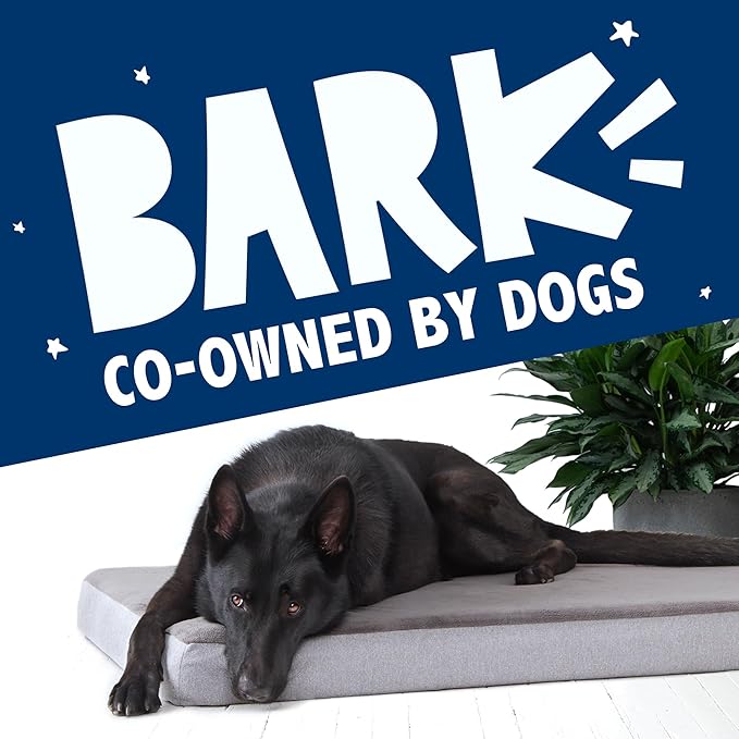 Barkbox Orthopedic Dog Bed with Memory Foam, Premium Comfort for Dogs and Puppies, Dog Bed for Joint Relief and Restful Sleep, Durable and Easy to Clean - Grey, XL
