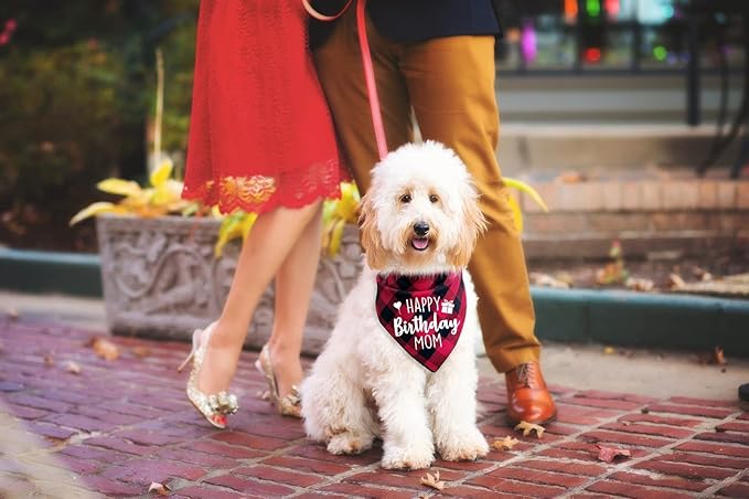 Ptzizi Funny Red Plaid Happy Birthday Mom Dog Printed Triangle Bandana, Small Medium Large Girl Pet Dog Birthday Party Scarf Bib Accessories Gift for Pet Dog Lovers Gift