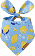 Luxury Double-Layer Dog Birthday Bandana – Handmade, Silk-Soft Polyester for All Dog Sizes | Birthday & Party Outfit | Gift-Ready Pet Accessory (Yellow, Large)