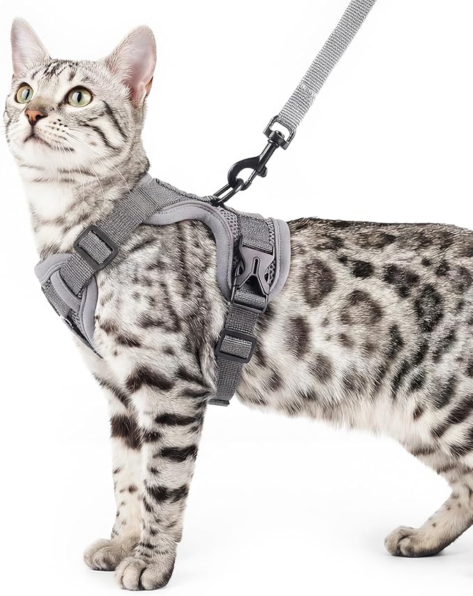 Cat Harness and Leash Set Escape Proof Tactical Small Kitten Harness Emotional Support Cat Vest, Grey, S