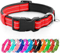 azuza Reflective Dog Collar,Soft Neoprene Padded Pet Collar with ID Tag Ring,Adjustable for Puppy and Small Dogs,Red,XS