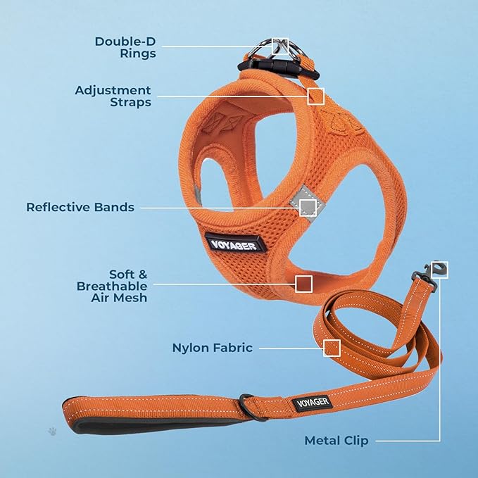 Best Pet Supplies Voyager Step-in Air All Weather Mesh Harness and Reflective Dog 5 ft Leash Combo with Neoprene Handle, for Small, Medium and Large Breed Puppies - Set (Orange), S