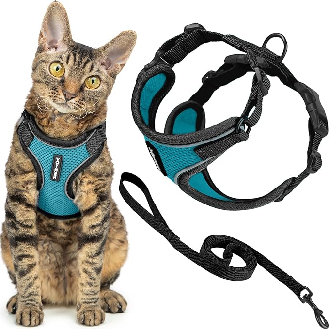Voyager Escape-Proof Step-in Lock Cat Harness & 5ft Neoprene-Handle Leash Set All-Weather Mesh with Reflective Stitching for Small to Large Cats by Best Pet Supplies, Black Trim-Turquoise (327), XXXS
