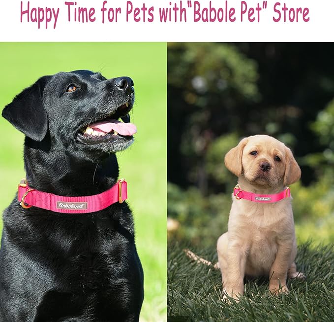 Nylon Dog Collar - Adjustable Rose Red Soft Webbing Dog Collars for Small Medium Large Dogs Boy Girl Puppy Collar with Safety Metal Buckle S