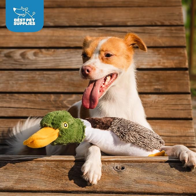 Best Pet Supplies Interactive Squeaky Dog Chew Toy, Ideal Dog Toys for Chewers, Small, Medium & Large Dogs, and Fetch Lovers - Mallard Duck (Brown), Large
