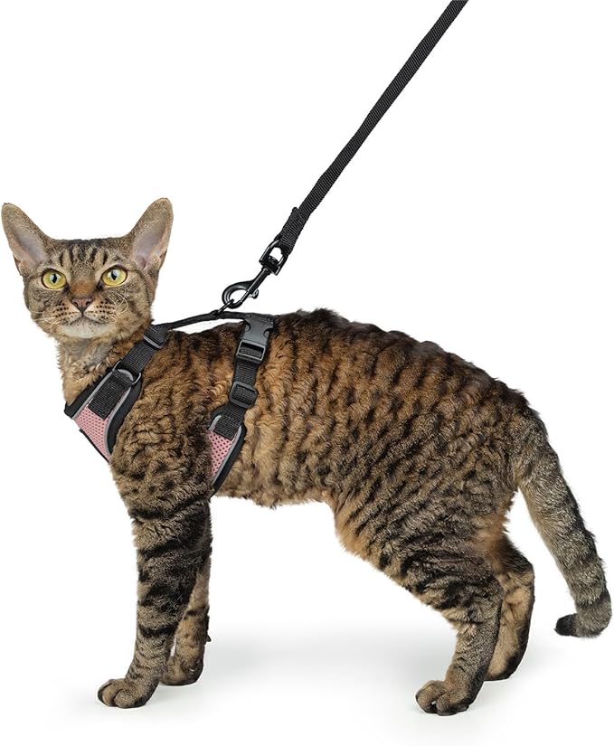 Voyager Escape-Proof Step-in Lock Cat Harness & 5ft Neoprene-Handle Leash Set All-Weather Mesh with Reflective Stitching for Small to Large Cats by Best Pet Supplies, Pink/Black Trim, S