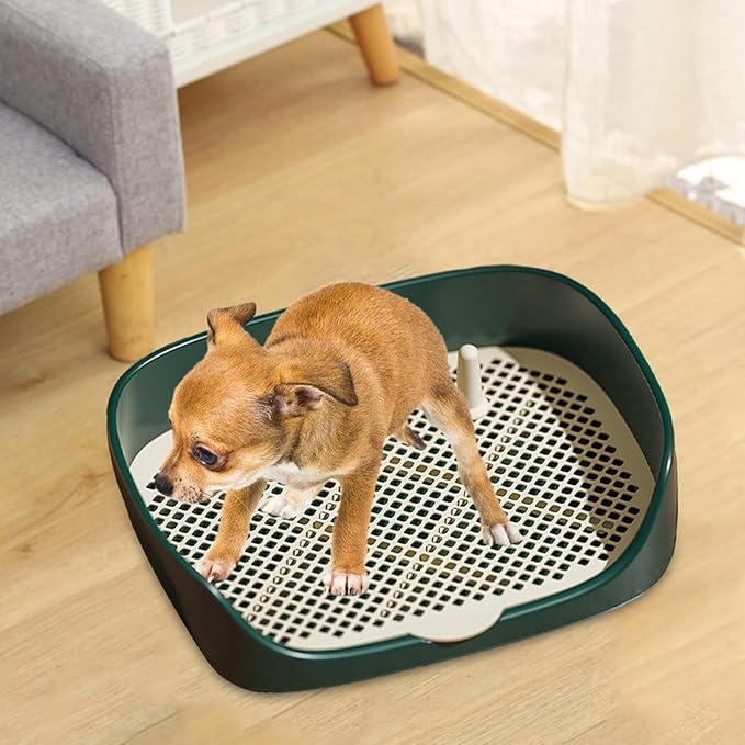 Dog Tray with Wall for Cats and Dogs, Elevated Pet Feeding Station, Wall-Mounted Pet Bowl Tray with Barrier, Multi-Level Pet Food Dispenser for Clean Feeding- Green S