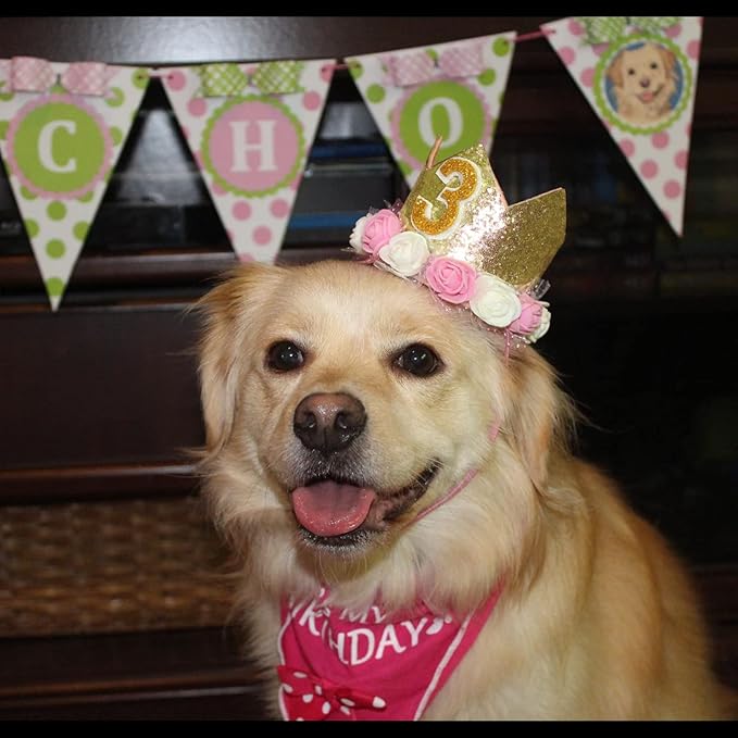 Dog Birthday Crown Hat - Reusable Party Crown with 0-9 Figures Charms for Dogs & Cats - Gold