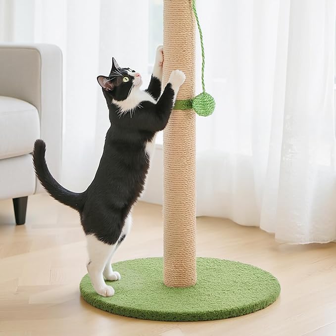 Cat Scratching Post 33 Inch, Cat Tree with Dangling Ball for Indoor Cats and Kittens, Green