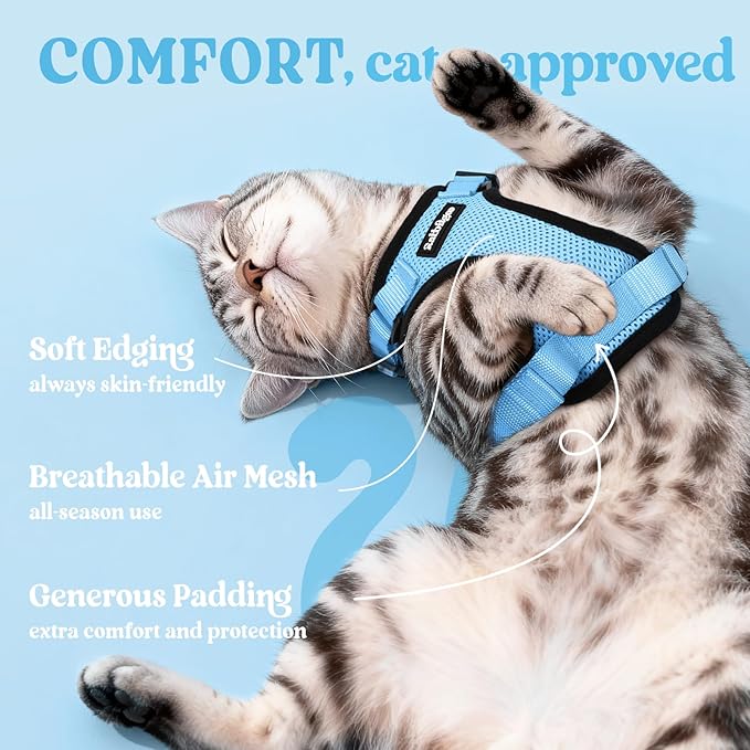rabbitgoo Cat Harness and Leash for Walking, Escape Proof Soft Adjustable Vest Harnesses for Cats, Easy Control Breathable Reflective Strips Jacket, Light Blue,M