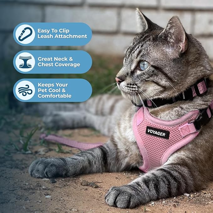 Voyager Escape-Proof Step-in Lock Cat Harness & 5ft Neoprene-Handle Leash Set All-Weather Mesh with Reflective Stitching for Small to Large Cats by Best Pet Supplies, Pink, XXS