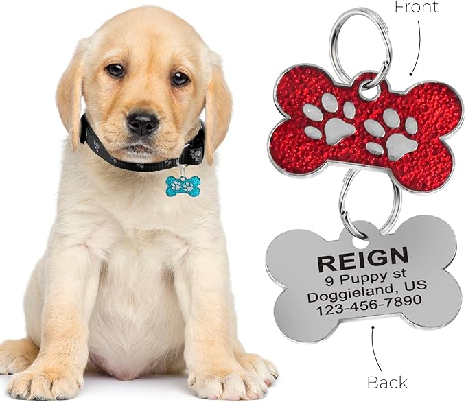 Personalized Dog Cute Paw Pet ID Tag for Pet Collar or Key Chain - cat Name tag, Personalized cat id tag, Kitten Name tag, Kitten id tag (Bone-Shaped-Small: Ocean Blue)