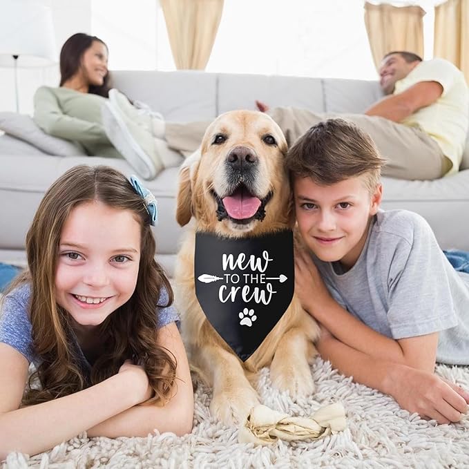 New to The Crew Dog Bandana New Puppy Announcement Gift for New Owners New Puppy Gift New Dog Announcement Photo Props Accessories for Small Medium Dogs Pets (Black)