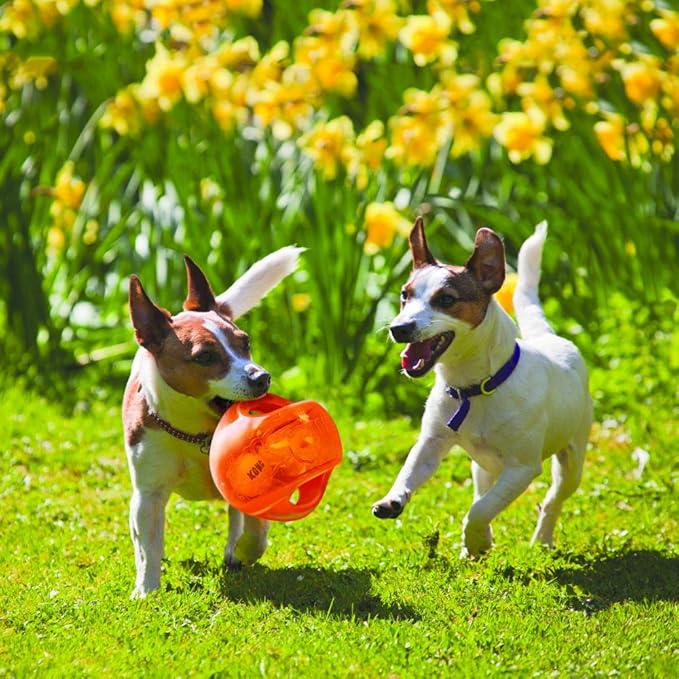 KONG Jumbler Ball - Interactive Toy for Dog & Puppy Playtime - Fetch Toy with Tennis Ball - Dog Supplies for Engaging Play - for Large/XL Dogs - Randomly Provided Color