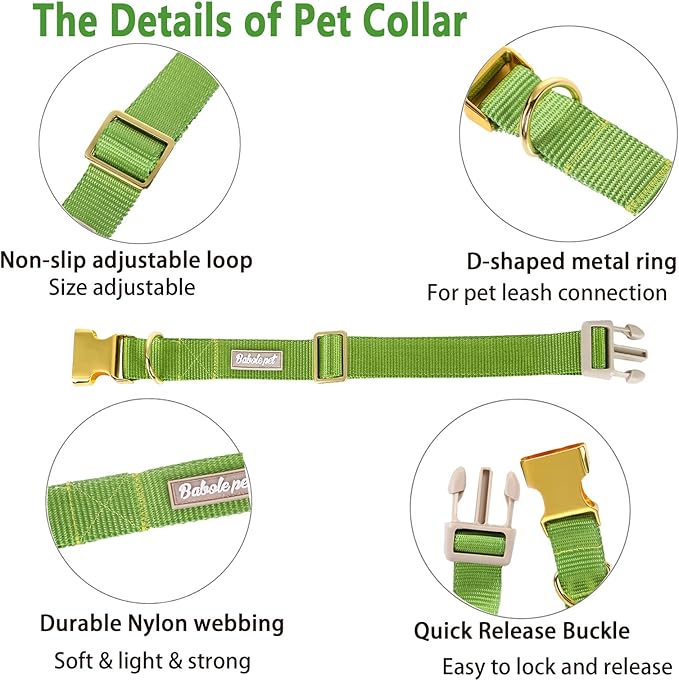 Nylon Dog Collar - Adjustable Green Soft Webbing Dog Collars for Small Medium Large Dogs Boy Girl Puppy Collar with Safety Metal Buckle S