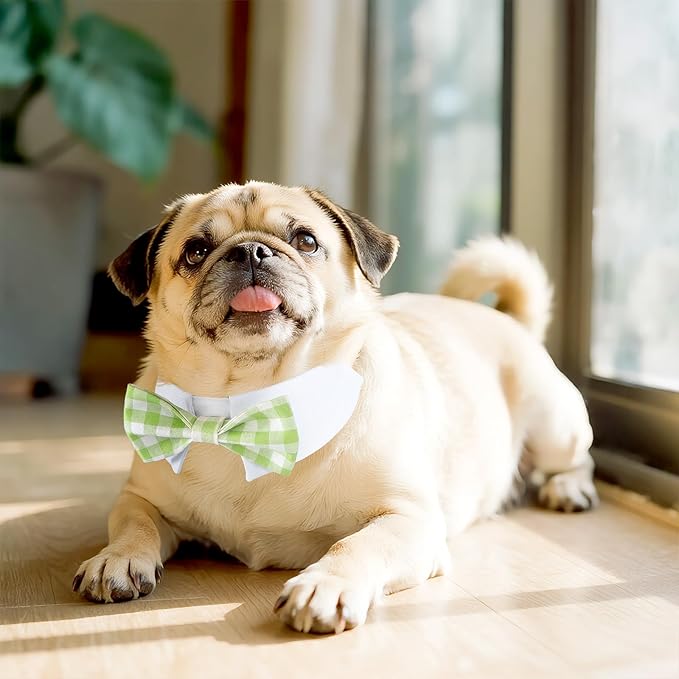 Segarty Dog Bow Tie, Adjustable Green Plaid Bowtie Collar for Neck Girth 10.2-12.6in, Medium Pet Tie Tuxedo Comfortable Cotton Boy Pet Grooming Accessory for Formal Wedding Holiday Birthday Party