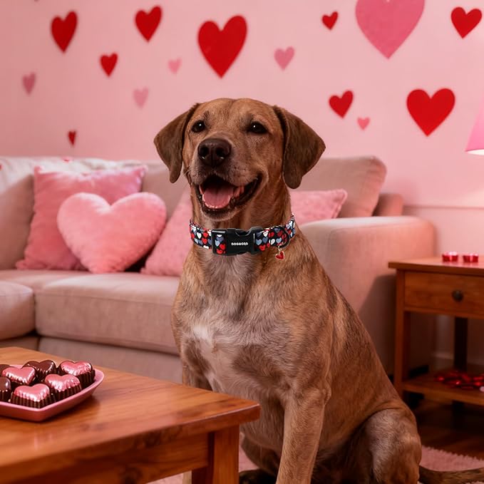 DOGWONG Red Heart Dog Collar, Cute Valentine Collar, Valentine's Day Dog Collar with Strong Plastic Buckle for Small Medium Large Dogs,XL