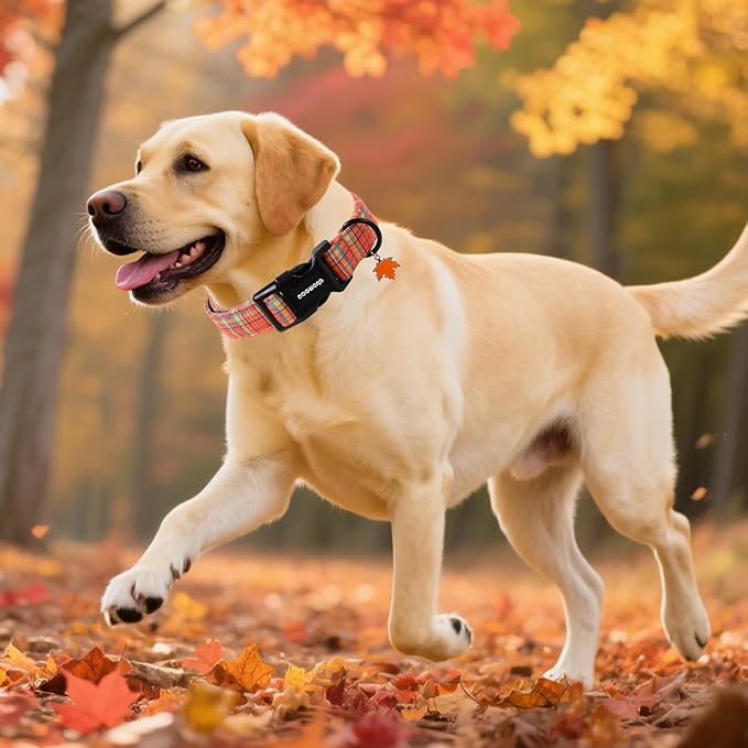 DOGWONG Fall Maple Dog Collar- Cute Classic Fall Autumn Flower Dog Collars Adjustable Fall Dog Collar for Small Medium Large Dogs L