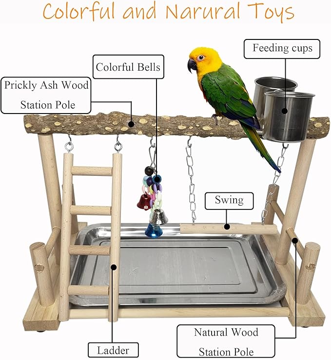 PINVNBY Bird Playground Parrot Playstand Birds Play Stand Wood Exercise Perch Gym Stand Playpen Ladder with Feeder Cups Hanging Swing Toys for Parakeet Conure Cockatiel Budgie Cage Accessories
