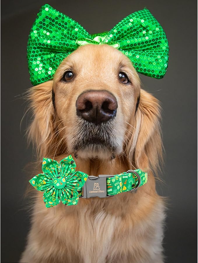 Lionheart glory St. Patrick's Day Dog Collar with Flower Dog Collars for X-Small Dogs, Heavy Duty Green Collars Bows Lucky Clover Shamrock Pet Collar Flower Puppy