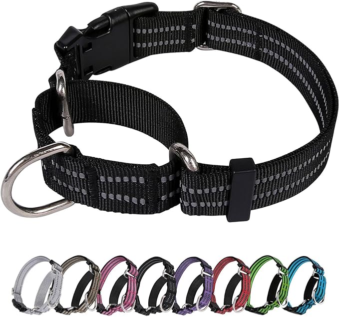 Martingale Dog Collar, Adjustable Nylon Reflective Collar with Buckle No Pull Dog Collar for Small Medium Large Dogs (Black S)