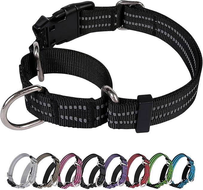 Martingale Dog Collar, Adjustable Nylon Reflective Collar with Buckle No Pull Dog Collar for Small Medium Large Dogs (Black L)