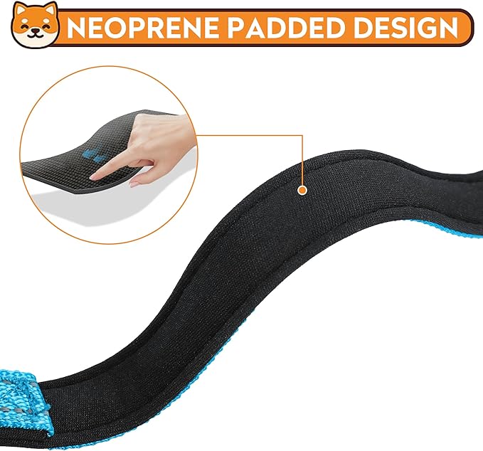Reflective Dog Collar, Adjustable Soft Neoprene Padded Nylon Pet Collars with Buckle for Puppy and Small Dogs, Cats, Sky Blue,XS