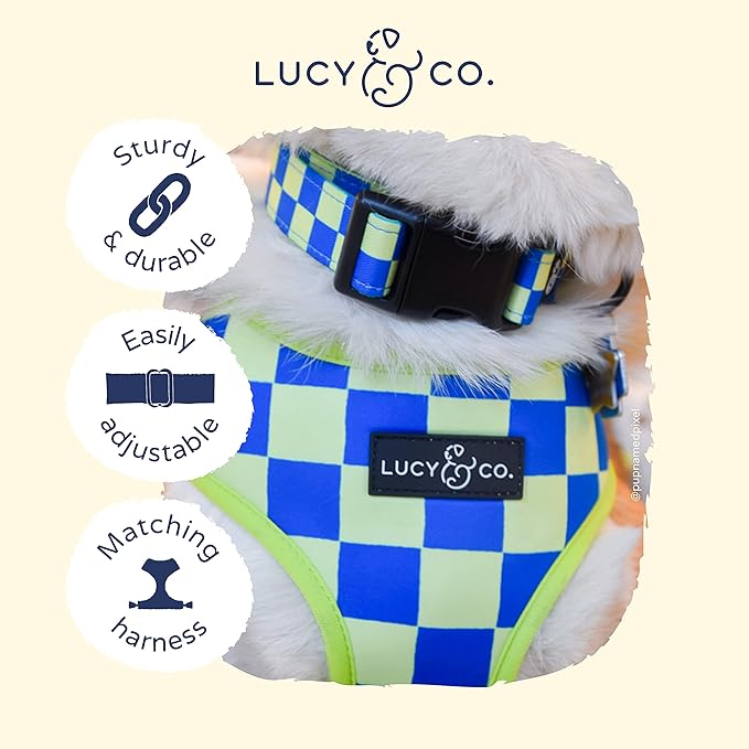 Lucy & Co. Have a Nice Day Dog Collar - Durable Lightweight Designer Collar for Pets - Adjustable Metal Safety Buckle - Lime Green Blue Checker - Large