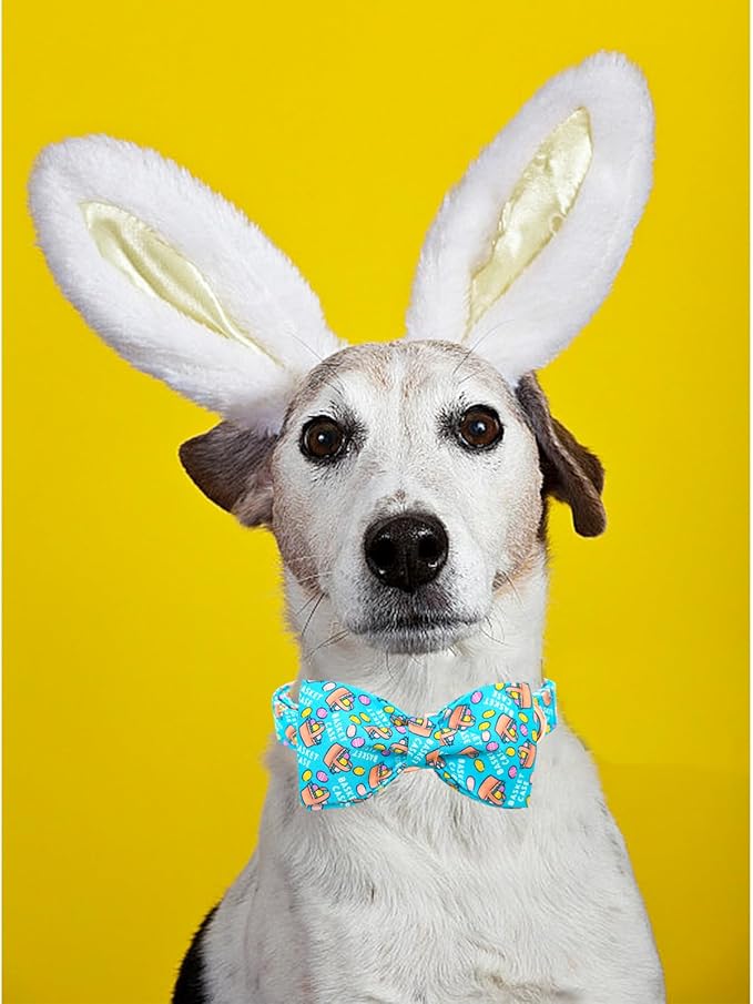 Lionheart Glory Easter Day Dog Collar with Bow for Large Dogs