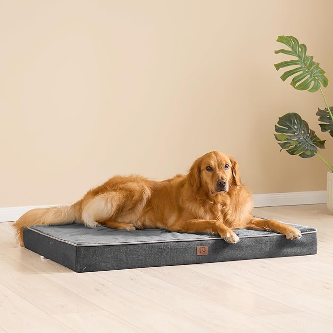 EHEYCIGA Waterproof Dog Bed Orthopedic 36"x27", Memory Foam Pet Bed for Larged Size Dogs, Washable Pet Mat with Removable Cover, Dark Grey