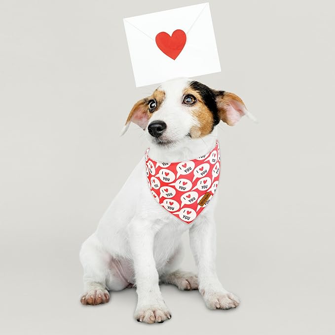 Valentines Dog Bandanas with Snap Button - 2 Pack Reversible Heart Dog Scarf for Boy & Girl, Premium Durable Fabric, Pet Bandana for Large and Extra Large Dogs (X-Large)