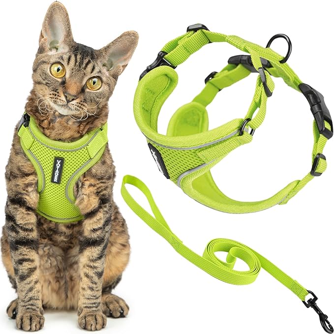 Voyager Escape-Proof Step-in Lock Cat Harness & 5ft Neoprene-Handle Leash Set All-Weather Mesh with Reflective Stitching for Small to Large Cats by Best Pet Supplies, Lime (327), XS
