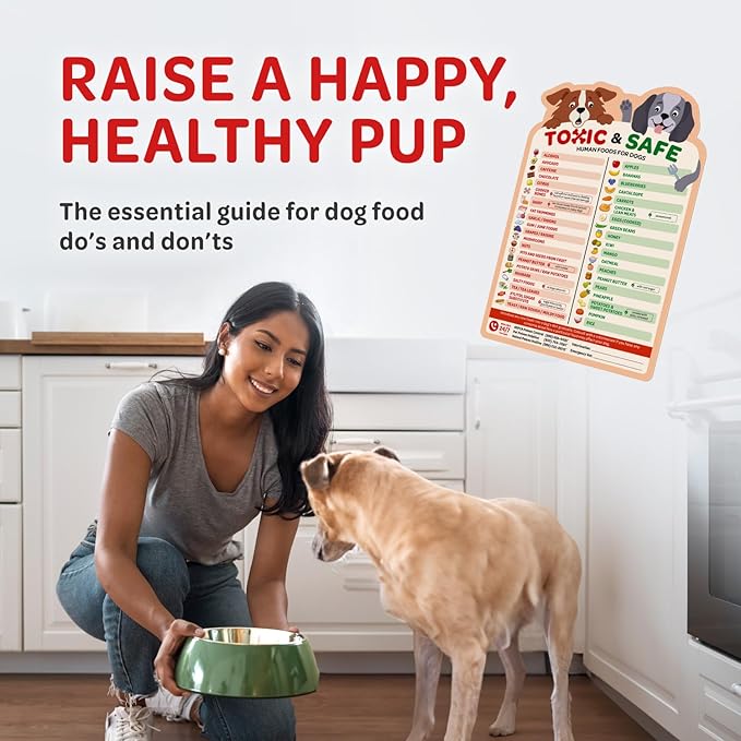 EBPP Magnetic List of Foods Dogs Can Eat - Dog Feeding Chart Fridge Magnet - Foods Dogs Shouldnt Eat Chart Decorative Magnets - Dog Safety Emergency Numbers Magnet - New Puppy Essentials 9.75" x 6.75"