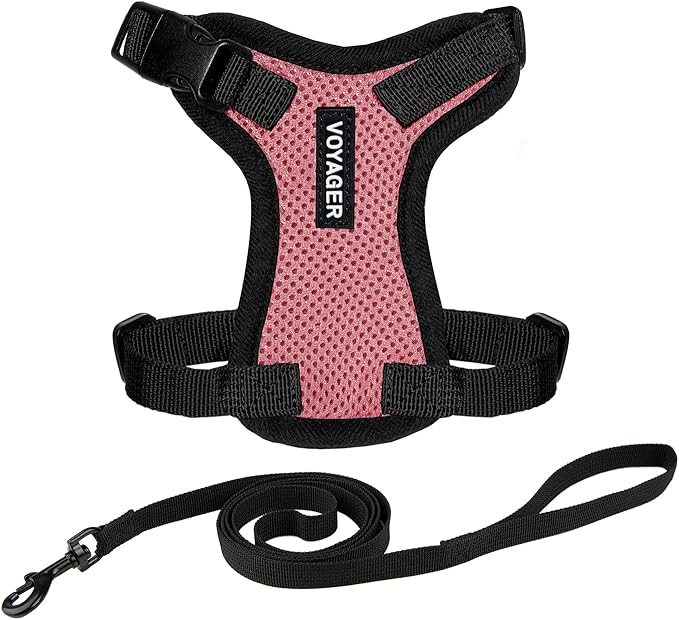 Voyager Escape-Proof Step-in Lock Cat Harness & 5ft Neoprene-Handle Leash Set All-Weather Mesh with Reflective Stitching for Small to Large Cats by Best Pet Supplies, Pink/Black Trim, XXS