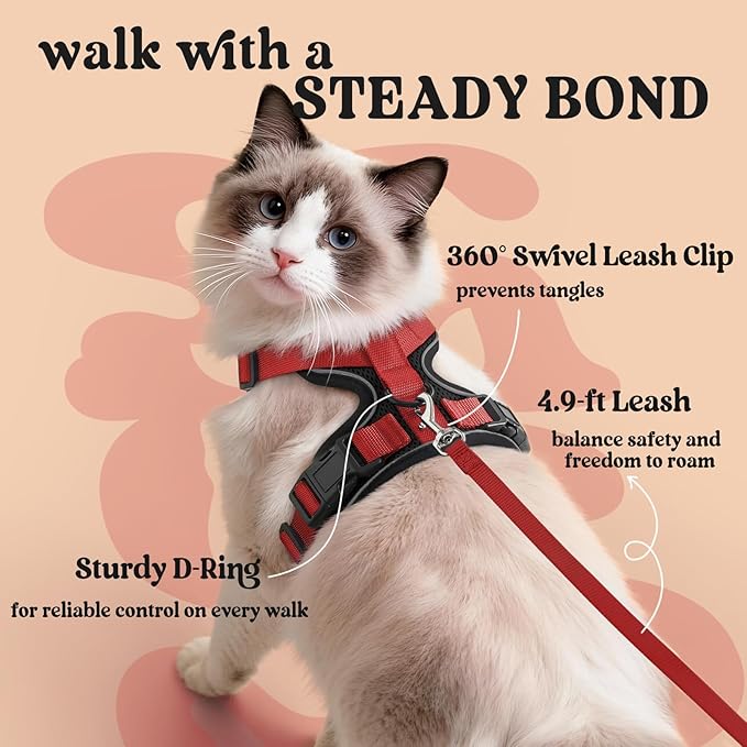 rabbitgoo Cat Harness and Leash for Walking, Escape Proof Soft Adjustable Vest Harnesses for Cats, Easy Control Breathable Reflective Strips Jacket, Black & Red, M