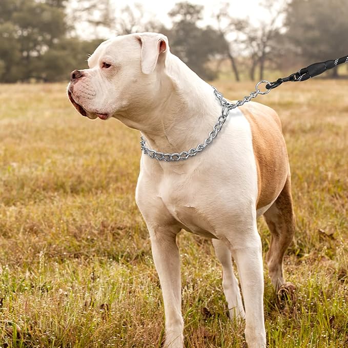TagME Chain Choke Collar for Dogs, Adjustable Weather Proof Necklace for Extra Large Dogs, Alloy Steel Pet Training Collar