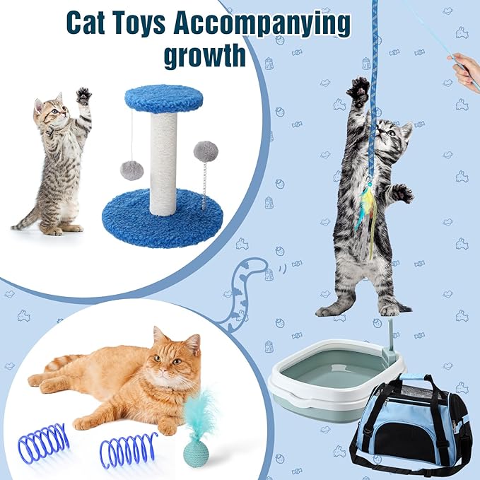 Eccliy Kitten Starter Kit, 10 Pcs Cat Starter Kit for Indoor Cats Kitten Essentials Includes Litter Box, Pet Toy, Folding Carrier, Climbing Frame, Mat, Collar, Automatic Food Bow(Classic,Blue)