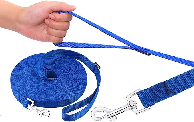 AMAGOOD Dog Leashes for Large, Medium & Small Dogs,20 ft Long Dog Leash-for Training,Tie Out,Play,Safety,Camping (20Feet x 1Inch, Blue)