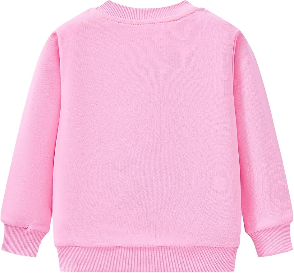 Toddler Baby Girls Cotton Sweater, Long Sleeve Crewneck Sweatshirt Pullover Kids Warm Clothing for Fall Winter