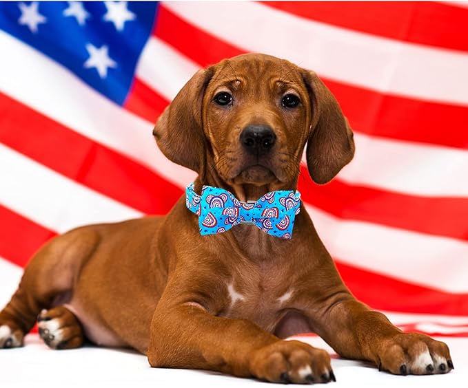 Lionheart glory American Flag Dog Collar, 4 of July Dog Bow Collar Heavy Duty Adjustable Patriotic Dog Collar with Bowtie for Small Dogs Pet Gift