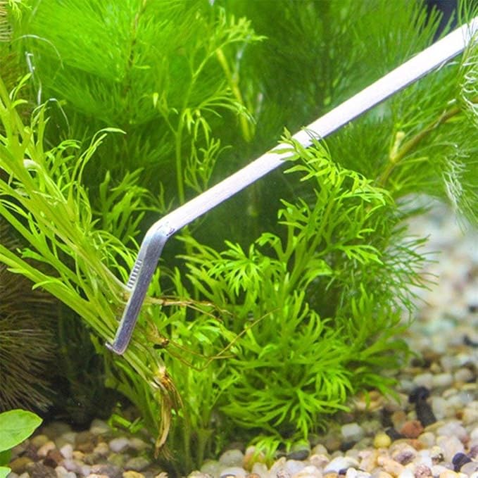 FEITA Extra Long 15 Inch Tweezer Stainless Steel Curved Tip for Aquarium Fishtank Aquascaping Tools, Aquarium Fishtank, Mega Reptile Feeding Tongs